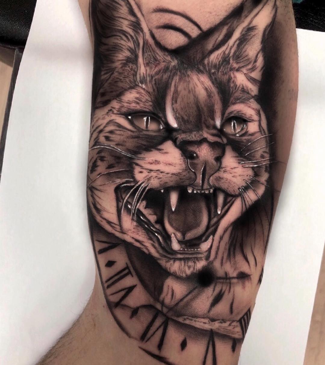 CheyenneTattooEquipment,followforfollow,berlin,followmeciudadreal,ciudadreal,tomelloso,almagro,puertollano,tatuajesenpuertollano,tatuajesendaimiel,ciudadrealtattoo,ciudadrealtatuajes,tatuajesciudadreal,follow,ciudadrealtatuajes,puertollano,ciudadreal,tattoos,ciudadrealtattoo,tattooers,besttattooers,juantabasco,ciudadrealsetatua,ink,tatuajes,realismo,realistictattoo,ciudadrealtattoo,tatuajesenpuertollano,traditionaltattoos,castillalamancha,ink,tattooart,zurichtattoo,daimiel,blackandgreytattoo,daimiel,CheyenneTattooEquipment