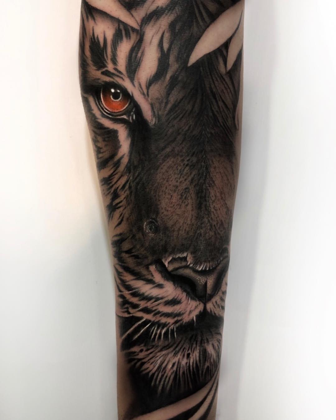 CheyenneTattooEquipment,CheyenneTattooEquipment,followforfollow,berlin,followmeciudadreal,ciudadreal,tomelloso,almagro,puertollano,tatuajesenpuertollano,tatuajesendaimiel,ciudadrealtattoo,ciudadrealtatuajes,tatuajesciudadreal,follow,ciudadrealtatuajes,puertollano,ciudadreal,tattoos,ciudadrealtattoo,tattooers,besttattooers,juantabasco,ciudadrealsetatua,ink,tatuajes,realismo,realistictattoo,ciudadrealtattoo,tatuajesenpuertollano,traditionaltattoos,castillalamancha,ink,tattooart,zurichtattoo,daimiel,blackandgreytattoo,daimiel,CheyenneTattooEquipment