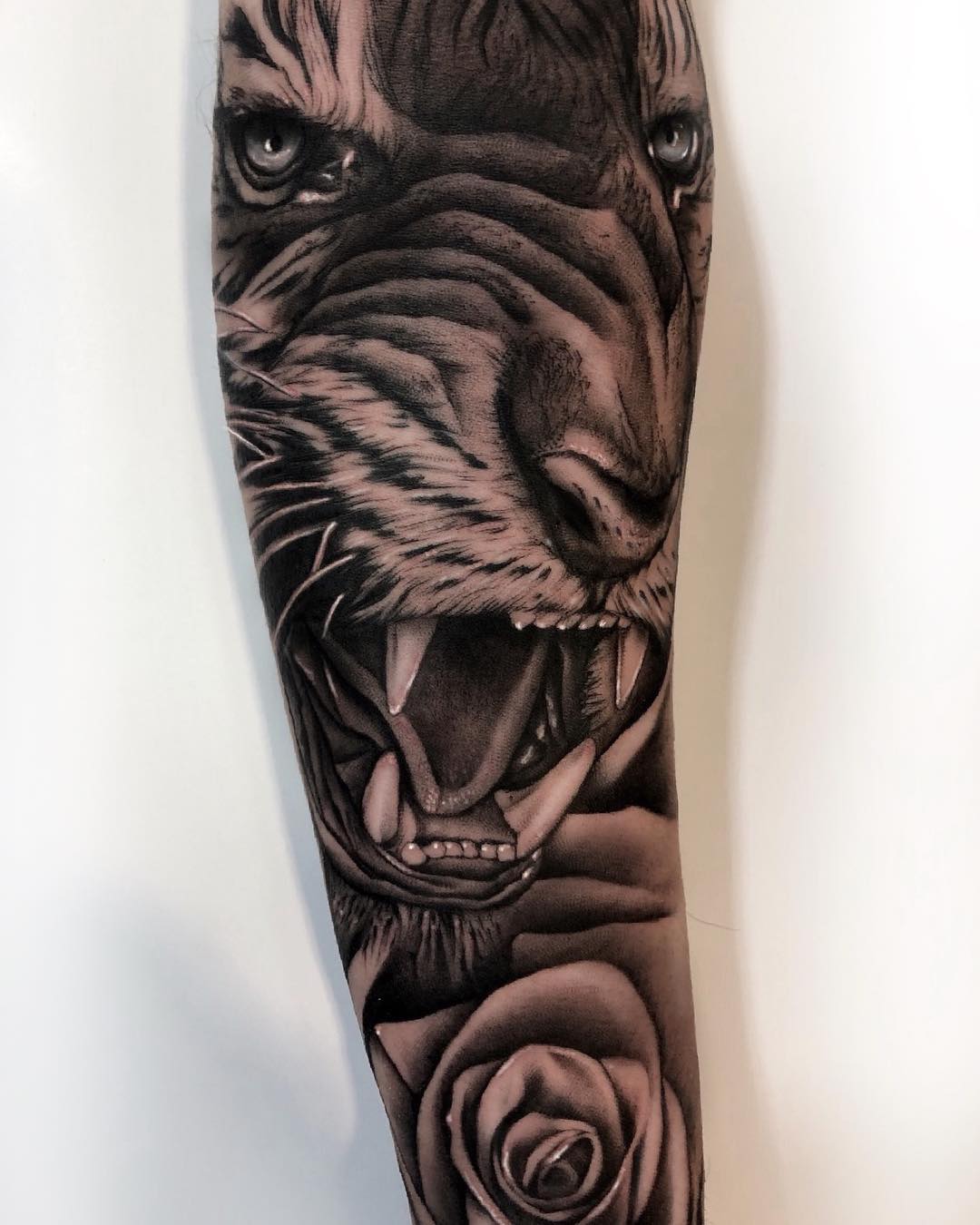 CheyenneTattooEquipment,followforfollow,berlin,followmeciudadreal,ciudadreal,tomelloso,almagro,puertollano,tatuajesenpuertollano,tatuajesendaimiel,ciudadrealtattoo,ciudadrealtatuajes,tatuajesciudadreal,follow,ciudadrealtatuajes,puertollano,ciudadreal,tattoos,ciudadrealtattoo,tattooers,besttattooers,juantabasco,ciudadrealsetatua,ink,tatuajes,realismo,realistictattoo,ciudadrealtattoo,tatuajesenpuertollano,traditionaltattoos,castillalamancha,ink,tattooart,zurichtattoo,daimiel,blackandgreytattoo,daimiel,CheyenneTattooEquipment