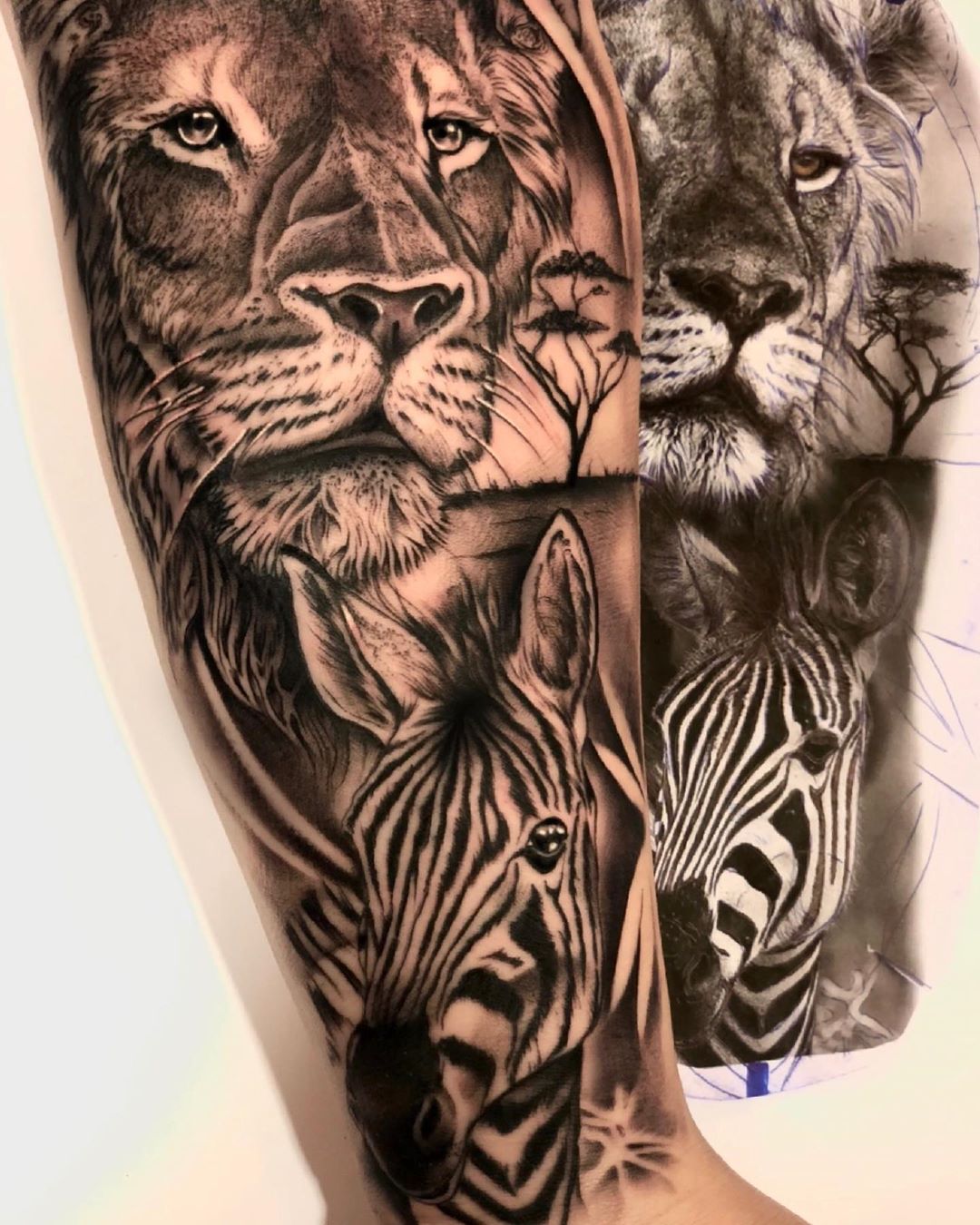 realismtattoo,followforfollow,berlin,followmeciudadreal,ciudadreal,tomelloso,almagro,puertollano,tatuajesenpuertollano,tatuajesendaimiel,ciudadrealtattoo,ciudadrealtatuajes,tatuajesciudadreal,follow,ciudadrealtatuajes,puertollano,tattooers,besttattooers,juantabasco,ciudadrealsetatua,ink,tatuajes,realiismo,realistictattoo,ciudadrealtattoo,tatuajesenpuertollano,traditionaltattoos,castillalamancha