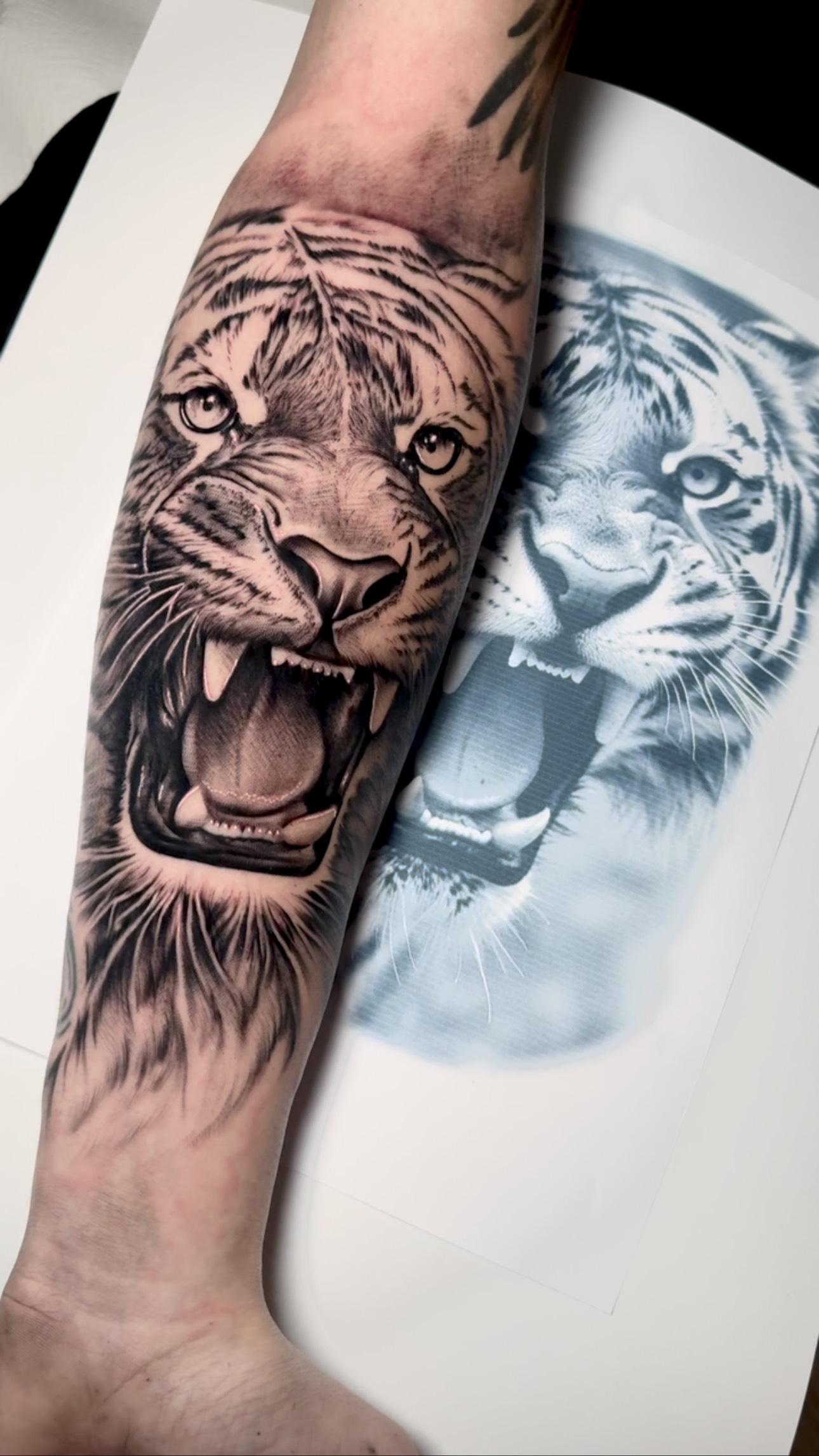 ciudadreal,sevilla,triana,followforfollow,berlin,ciudadreal,tatuajesenciudadreal,ink,inked,tigre,realismo,realismotattoo,tatuajerealismo,tigrerealismo,followmeciudadreal,ciudadreal,tomelloso,almagro,puertollano,tatuajesenpuertollano,tatuajesendaimiel,ciudadrealtattoo,cciudadrealtatuajes,tatuajesciudadreal,ciudadrealtatuajes,puertollano,oldlines,followme,tatuajeciudadreal,blackworks,blackworkers