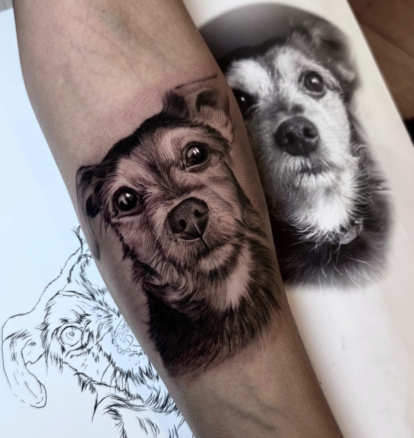 ciudadreal,sevilla,triana,followforfollow,berlin,ciudadreal,tatuajesenciudadreal,ink,inked,tigre,realismo,realismotattoo,tatuajerealismo,tigrerealismo,followmeciudadreal,ciudadreal,tomelloso,almagro,puertollano,tatuajesenpuertollano,tatuajesendaimiel,ciudadrealtattoo,cciudadrealtatuajes,tatuajesciudadreal