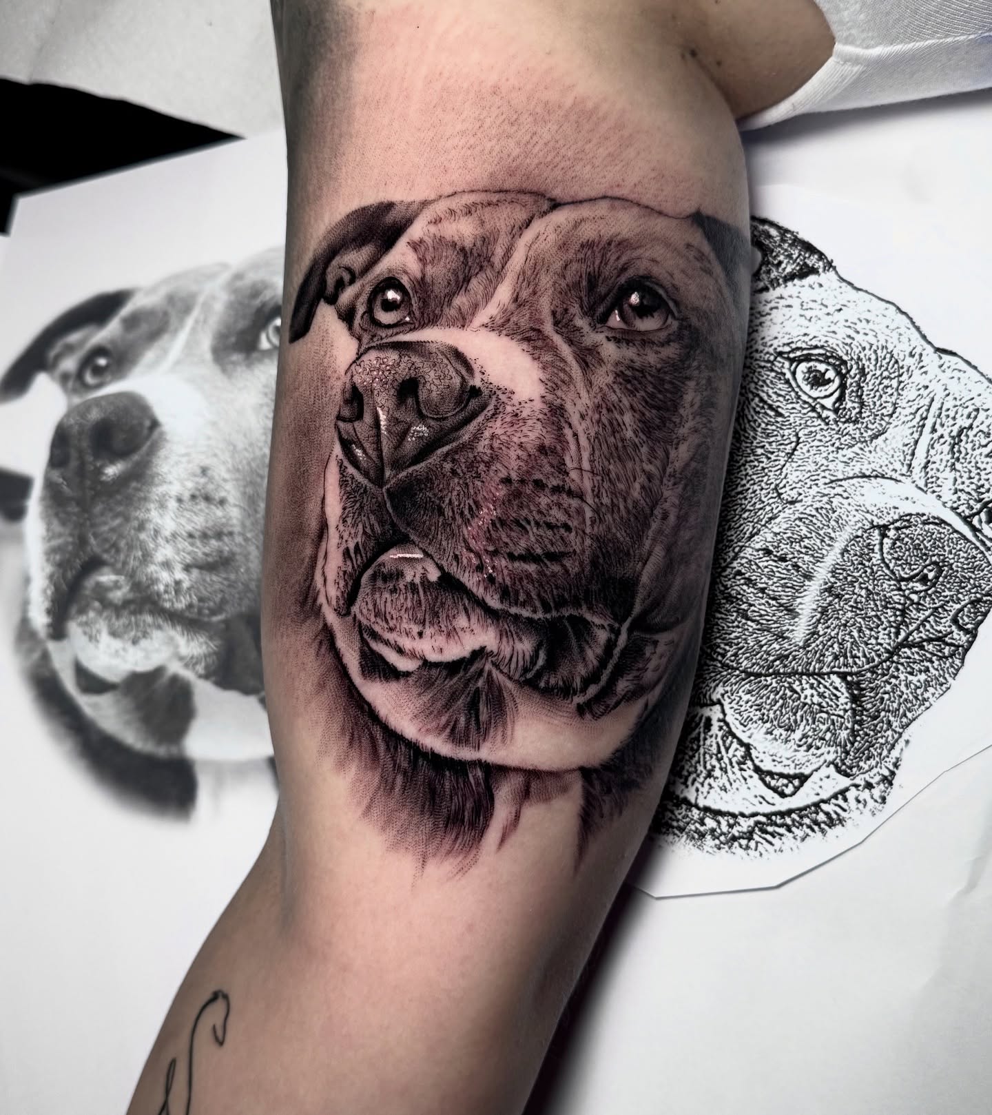 ciudadreal,sevilla,triana,followforfollow,berlin,ciudadreal,tatuajesenciudadreal,ink,inked,tigre,realismo,realismotattoo,tatuajerealismo,tigrerealismo,followmeciudadreal,ciudadreal,tomelloso,almagro,puertollano,tatuajesenpuertollano,tatuajesendaimiel,ciudadrealtattoo,cciudadrealtatuajes,tatuajesciudadreal,ciudadrealtatuajes,puertollano,oldlines,followme,tatuajeciudadreal,blackworks,blackworkers